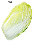 19usd Ngryise 6000Pcs A Set Brassica pekinensis vegetable seed