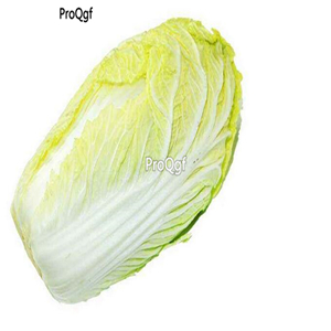 19usd Ngryise 6000Pcs A Set Brassica pekinensis vegetable seed