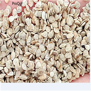 19usd Ngryise 8000Pcs A Set  Tree Tomato Tree semillase verduras Four Season  seed