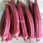 19usd Ngryise 8000Pcs A Set red yellow okra vegetable seed