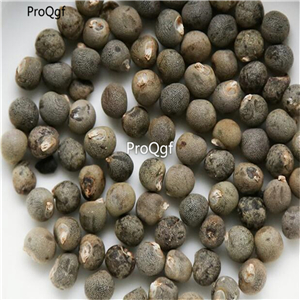 19usd Ngryise 8000Pcs A Set red yellow okra vegetable seed