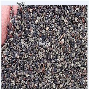19usdNgryise 8000Pcs A Set Lioder citronella sweet grass mosquito repellent lemon geranium bohe seed