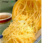 19usd Ngryise 500Pcs A Set Cucubita pepo seed