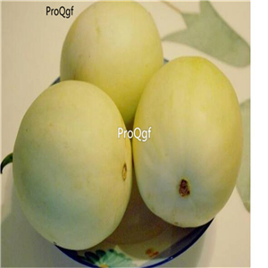 19usd Ngryise 3000Pcs A Set pear shape Cucumis melo  seed