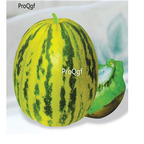 19usd Ngryise 3000Pcs A Set sweet hongpiao balixiang Cucumis melo seed