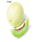 19usd Ngryise 3000Pcs A Set lanzhou sweet melon Cucumis melo seed