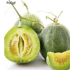 19usd Ngryise 3000Pcs A Set green jewelry melon Cucumis melo seed