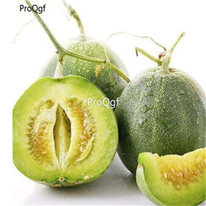 19usd Ngryise 3000Pcs A Set green jewelry melon Cucumis melo seed