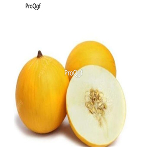19usd Ngryise 3000Pcs A Set xinjiang yilishabai melon Cucumis melo seed