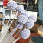 19usd hot Ngryise 8000Pcs a set Craspedia globosa heixinju seed