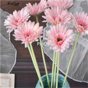 19usd Ngryise 8000Pcs A Set Gerbera jamesonii  seed