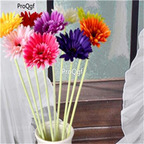 19usd hot Ngryise 8000Pcs A Set Gerbera jamesonii seed