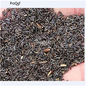19usd Ngryise 8000Pcs A Set Dendranthema morifolium Black Chrysanthemum seed
