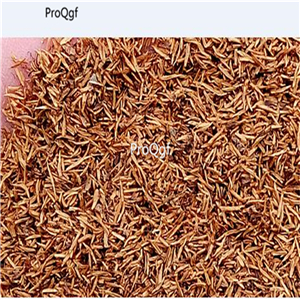 19usd Ngryise 8000Pcs A Set Cabomba caroliniana zhenzhumei seed