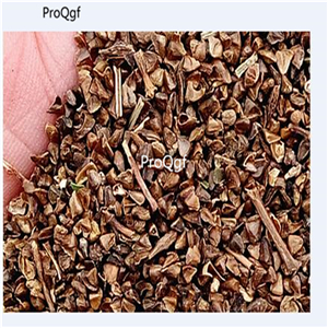 19usd  Ngryise 8000Pcs A Set   American Lagerstroemia indica Pink Velour  seed