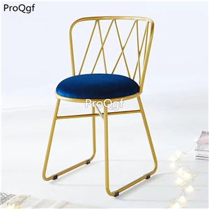 59usd Ngryise 1 Set rare bird nest series coffee store chair