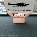 15usd Ngryise 5Pcs A set pig shape up your hands series photo click statue