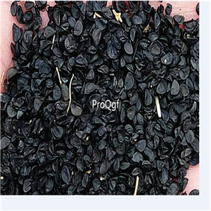 19usd Ngryise 500Pcs A set Allium fisulosum viviparum Makino seed