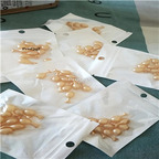 12usd Ngryise 100Pcs A Set Face Serum Cream Shrink Pores Anti Aging Firming Repair Facial Placenta  Essence