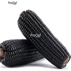 19usd Ngryise 200Pcs A Set black corn vegetable seed