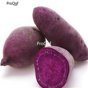 19usd Ngryise 3Pcs A Set purple potato vegetable bulb