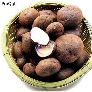 18usd Ngryise 3Pcs A Set purple white heart potato bulb