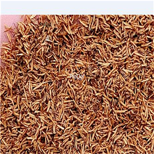19usd Ngryise 6000Pcs A Set Pentas lanceolata zhenzhumei seed