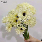 19usd Ngryise 500Pcs A Set rare pretty sunflower seed