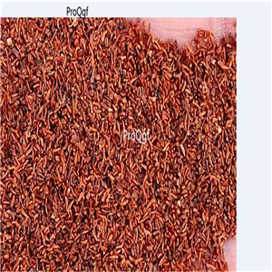 19usd Ngryise 3000Pcs A Set rare rainbow  Eucalyptus robusta seed
