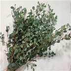 19usd Ngryise 3000Pcs A Set heart shape eucalyptus seed