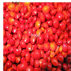 19usd ngryise 50pcs Abrus precatorius seed