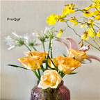 19usd Ngryise 500Pcs A Set gold rare rose seed