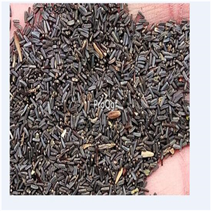 19USD Ngryise 2000Pcs A Set gold brown chrysanthemum like pingpong SEED