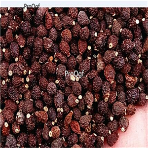 19usd Ngryise 500Pcs A Set blood red Vanda seed