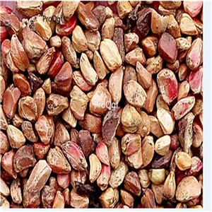 19usd Ngryise 2000Pcs A Set many species choice yunnan rose seed