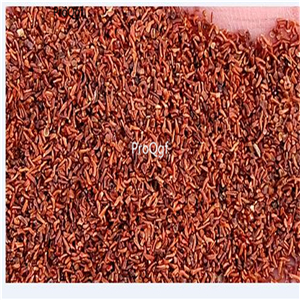 19usd Ngryise 2000Pcs A Set swan velvet flower seed