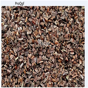 19usd Ngryise 3000Pcs A Set Motherwort  seed