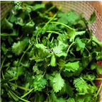 19usd Ngryise 6000Pcs A Set Cilantro seed