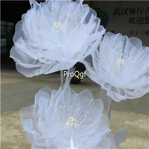 19usd Ngryise 100Pcs A Set white crystal lotus seed
