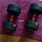 129usd Ngryise 2Pcs A Set 20kg*2pcs dumbbell hot series