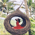 1699usd Ngryise 1 Set  minshuku bird nest swing hanging chair ins style