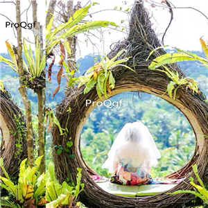 1699usd Ngryise 1 Set  minshuku bird nest swing hanging chair ins style