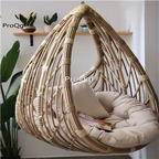 299usd Ngryise 1 Set  minshuku swing hanging chair ins style two color choice