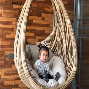 299usd Ngryise 1 Set  minshuku swing hanging chair ins style two color choice