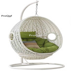 399usd Ngryise 1 Set  minshuku swing hanging chair ins style two color choice