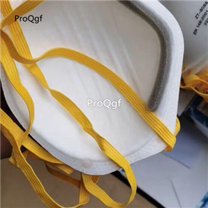 30usd Ngryise 10pcs zt-8088 mask