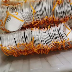 20usd Ngryise 10pcs a set n95 mask hot one