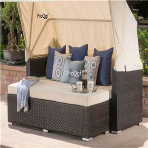 399usd Ngryise 1 Set luxurious minshuku sofa