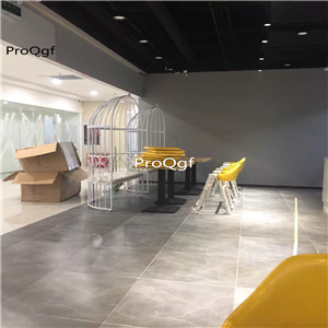 239usd Ngryise 1 Set luxurious minshuku white europe series bird cage shape sofa