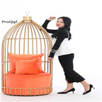 259usd Ngryise 1 Set fashion color bird cage series sofa